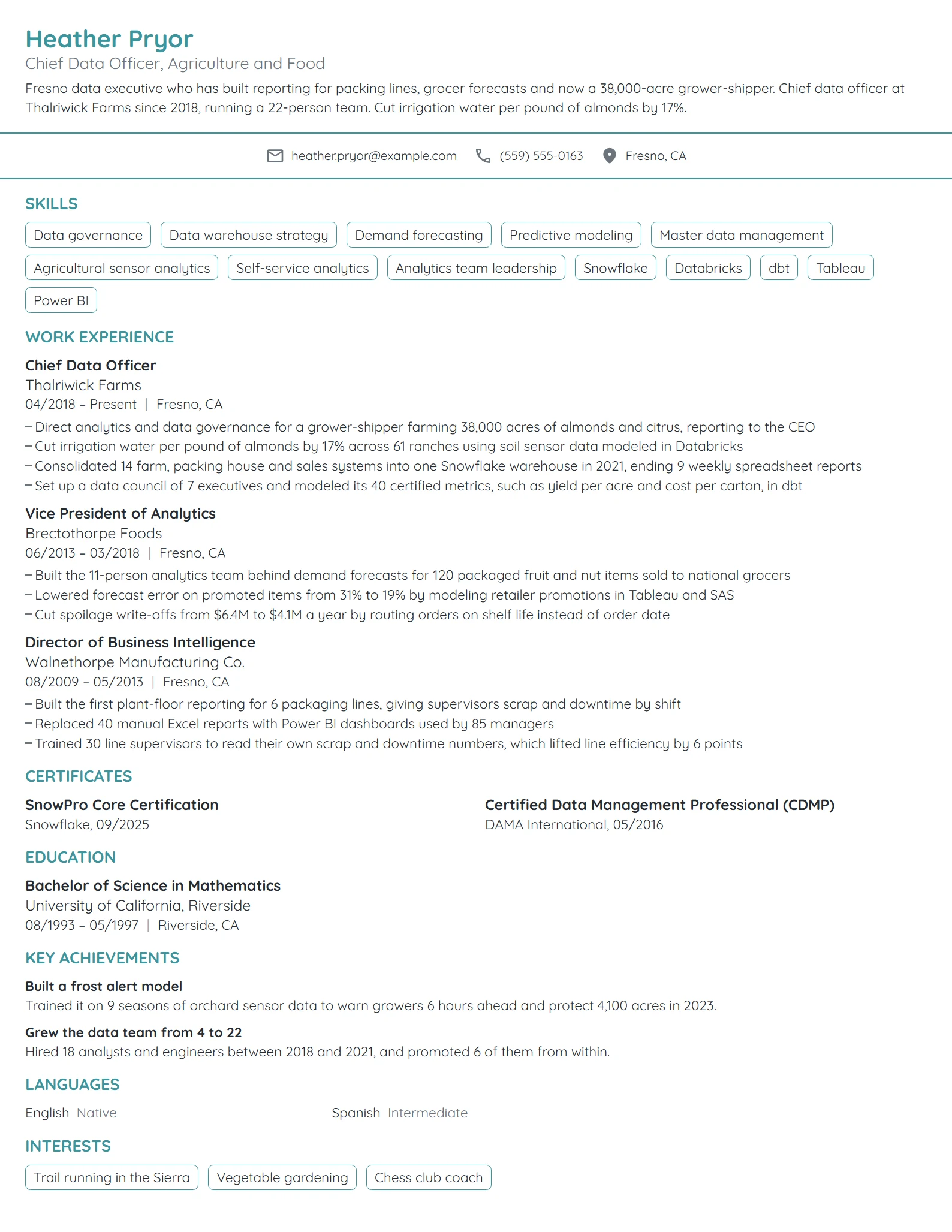 Chief Data Officer resume example