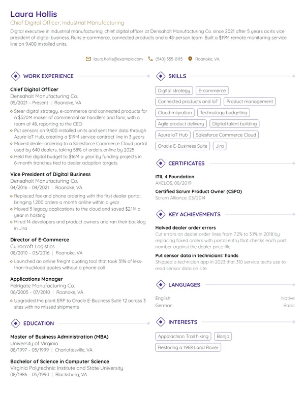 Chief Digital Officer resume example