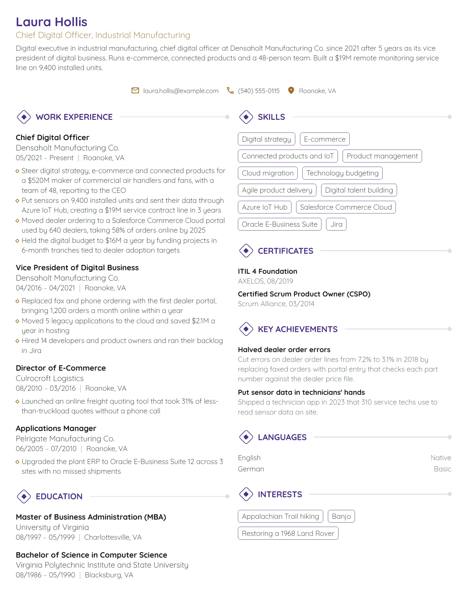 Chief Digital Officer resume example
