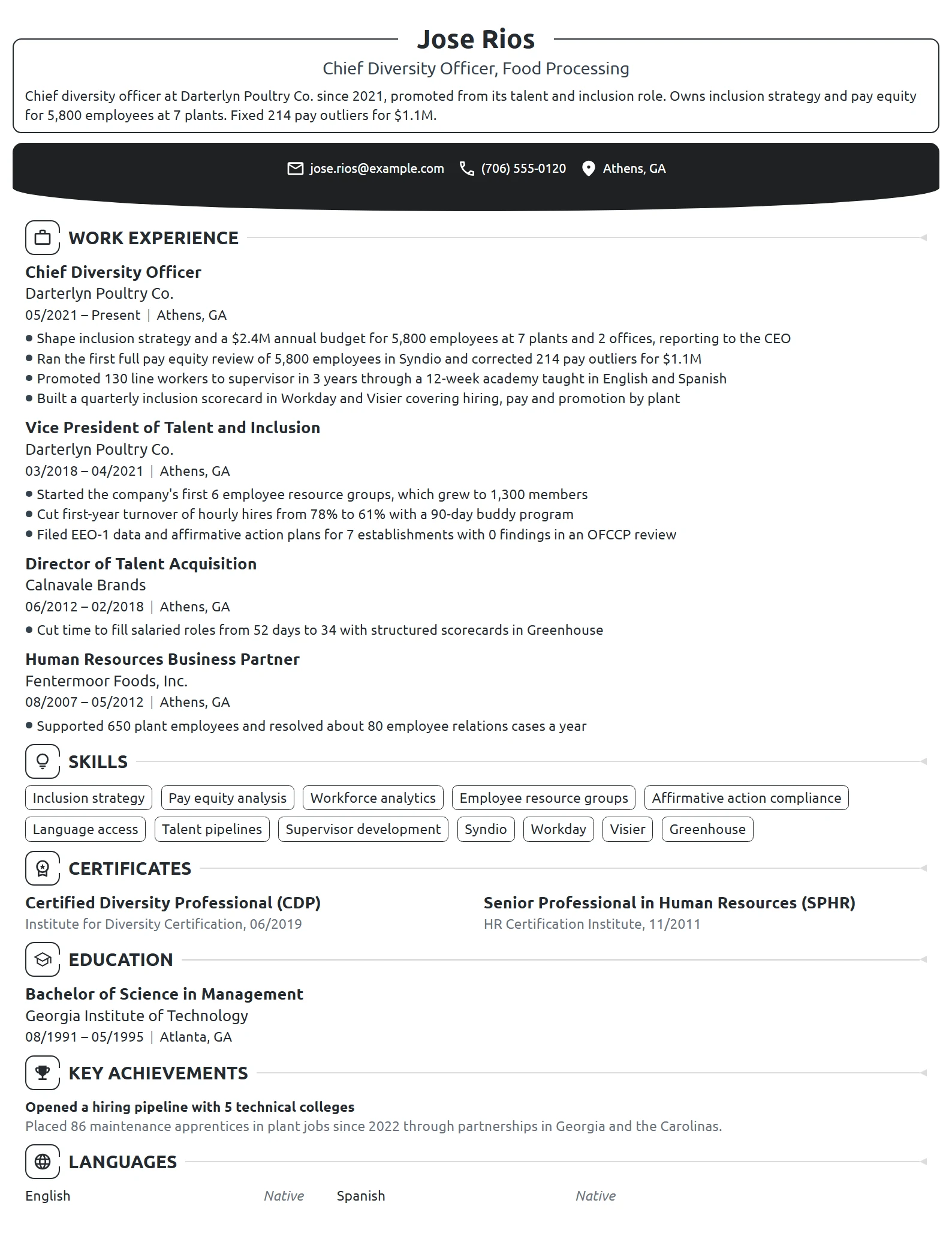 Chief Diversity Officer resume example