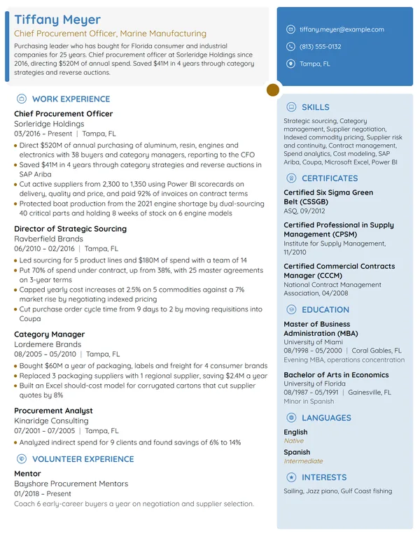 Chief Procurement Officer resume example