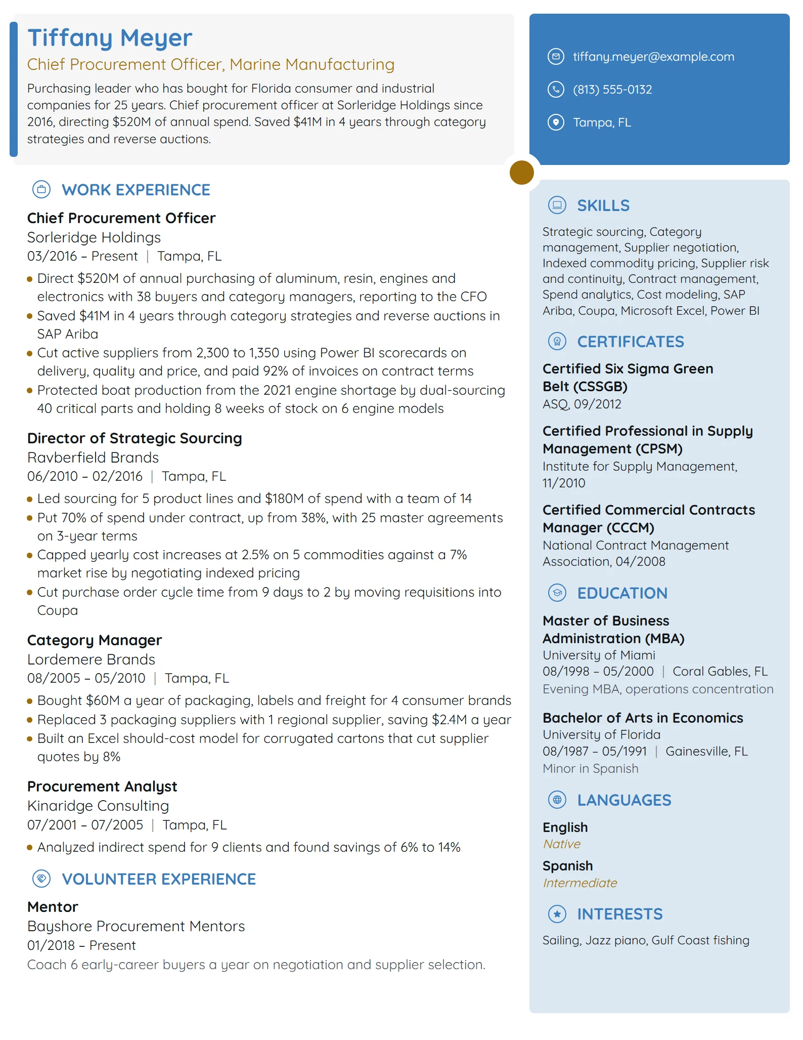Chief Procurement Officer resume example