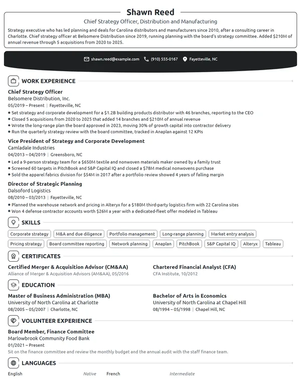 Chief Strategy Officer resume example