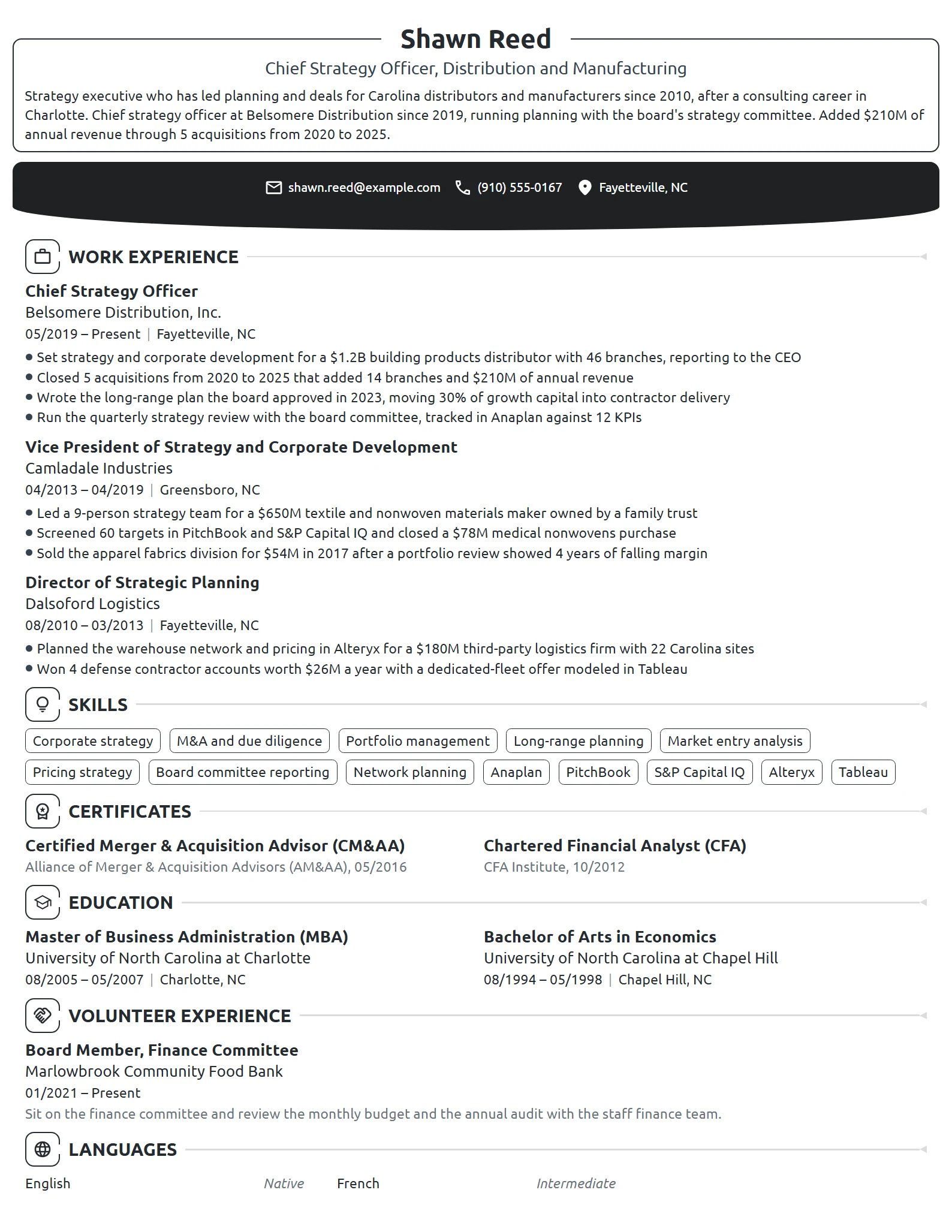 Chief Strategy Officer resume example