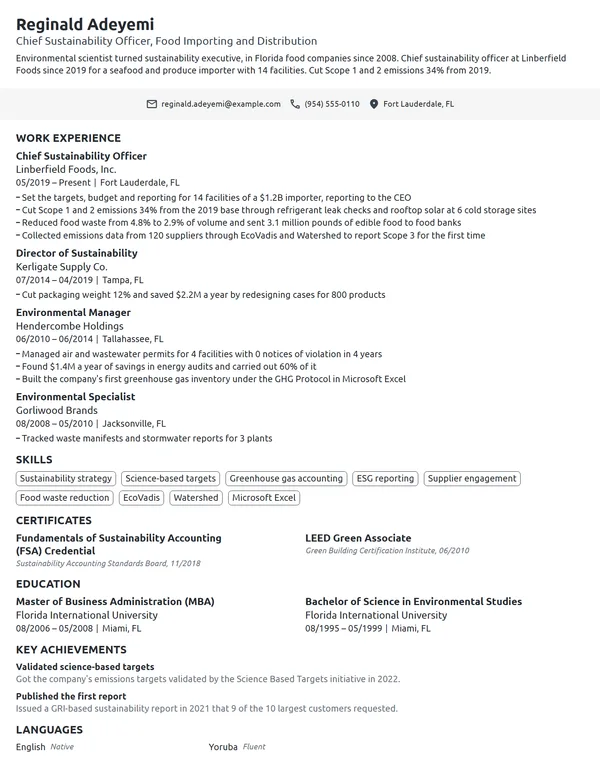 Chief Sustainability Officer resume example
