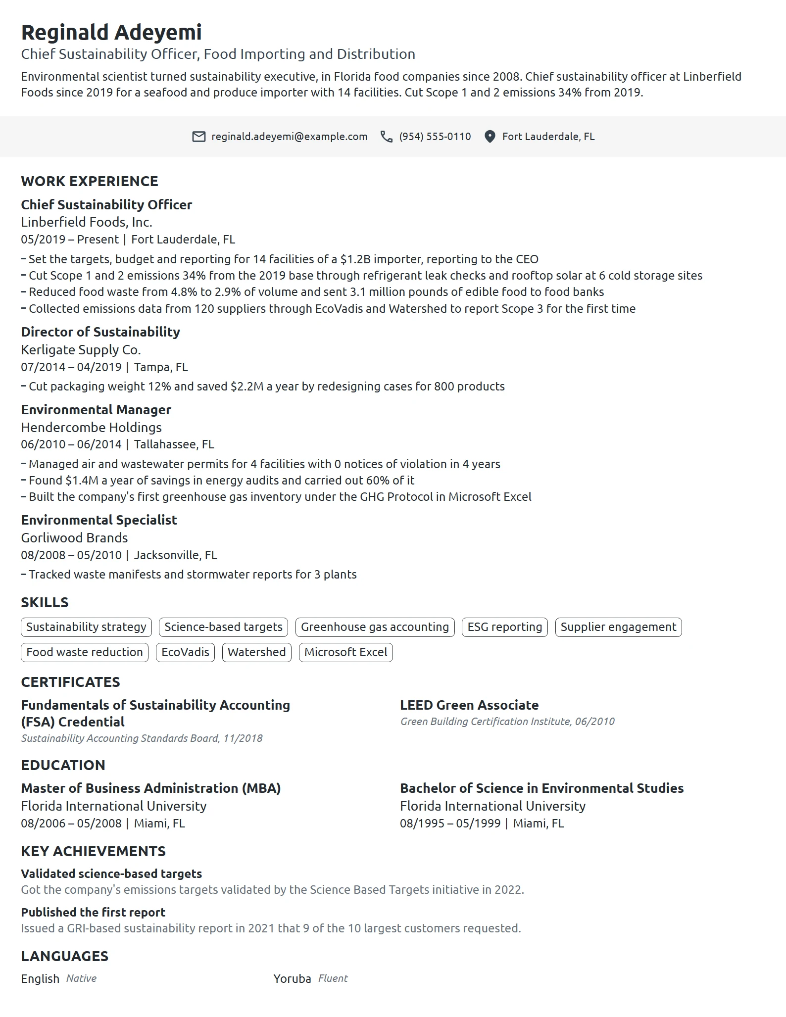 Chief Sustainability Officer resume example