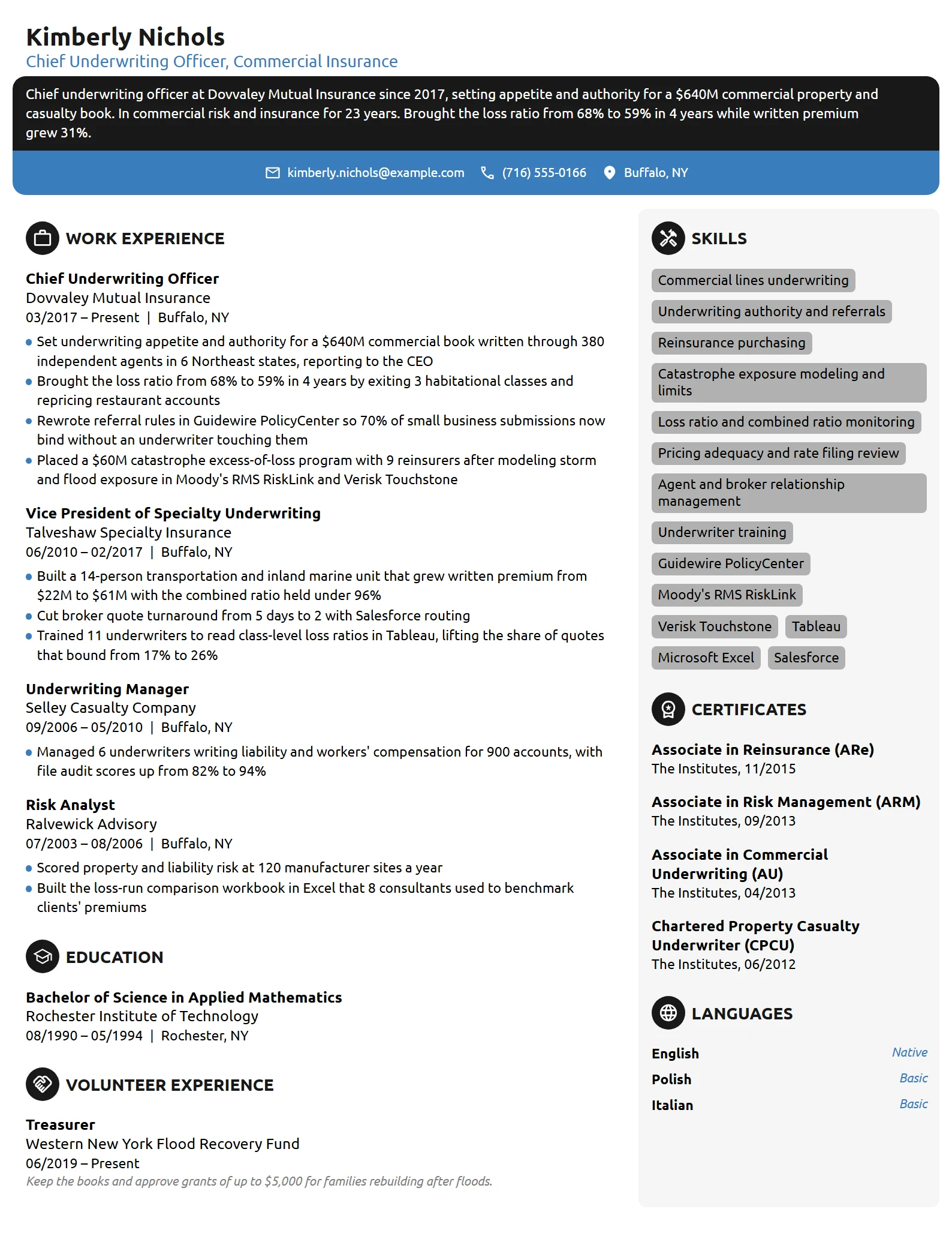 Chief Underwriting Officer resume example