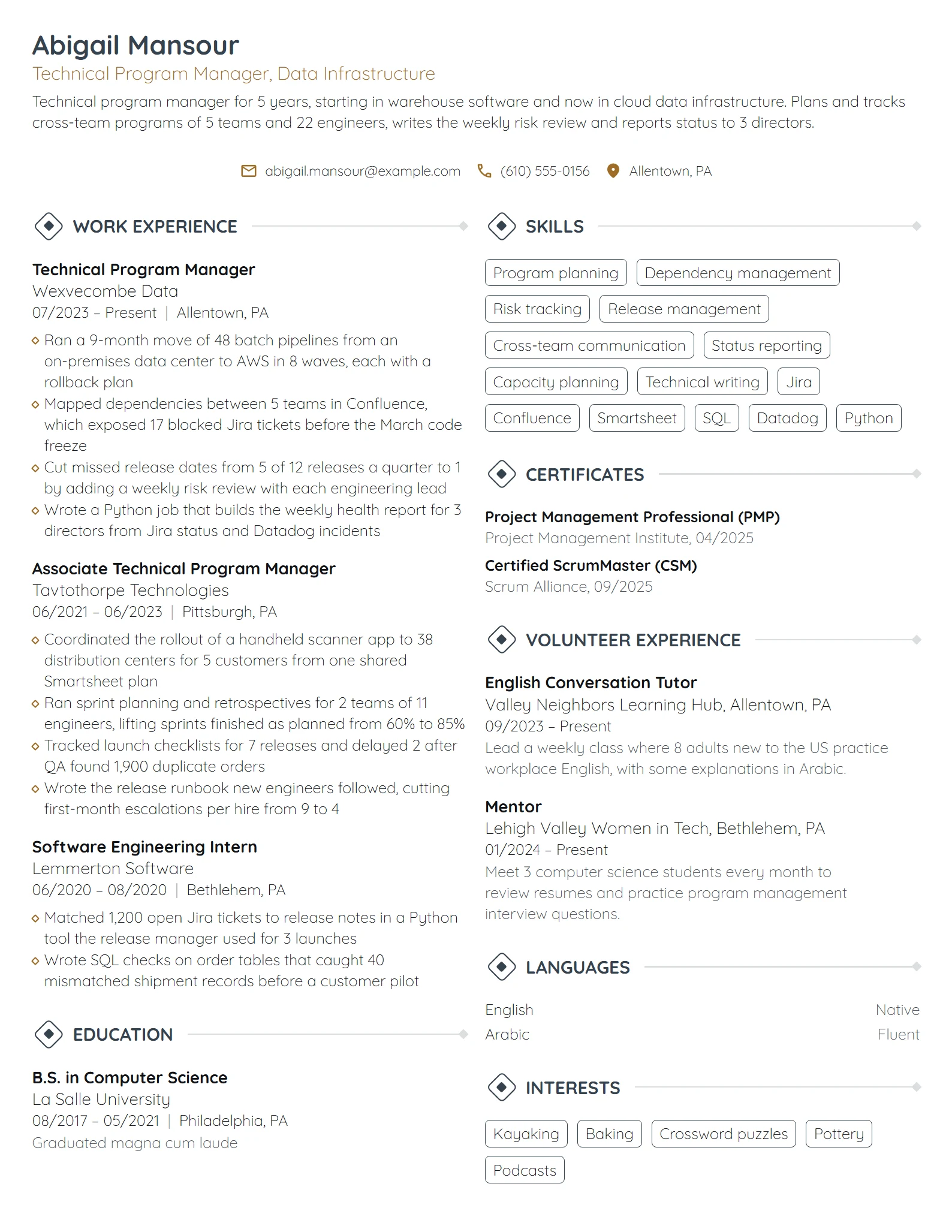 FAANG Technical Program Manager resume example