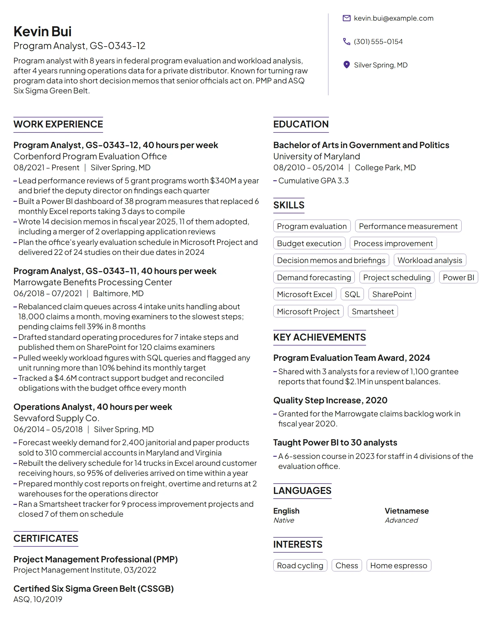 Federal Government resume example