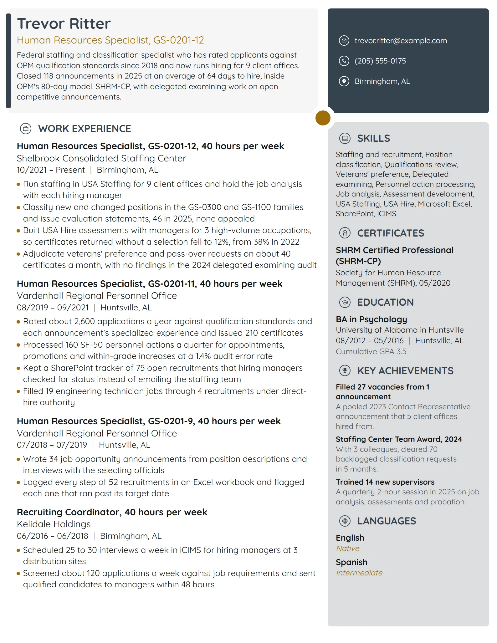 Federal resume example