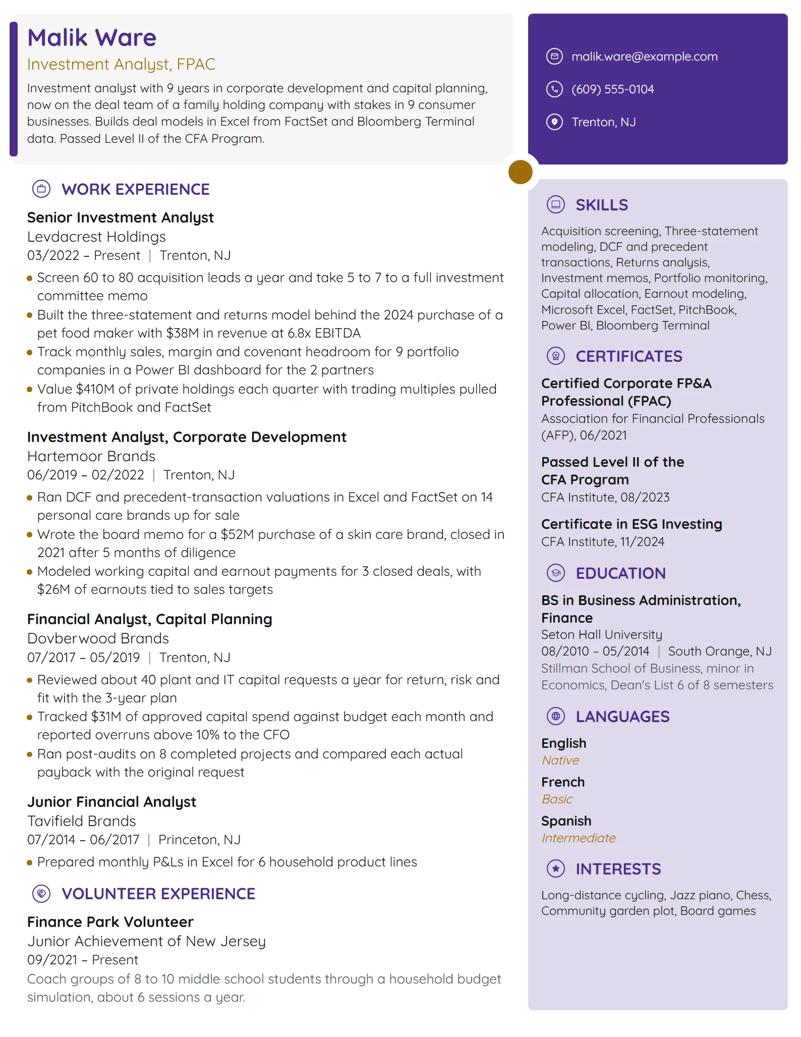 Investment Analyst resume example