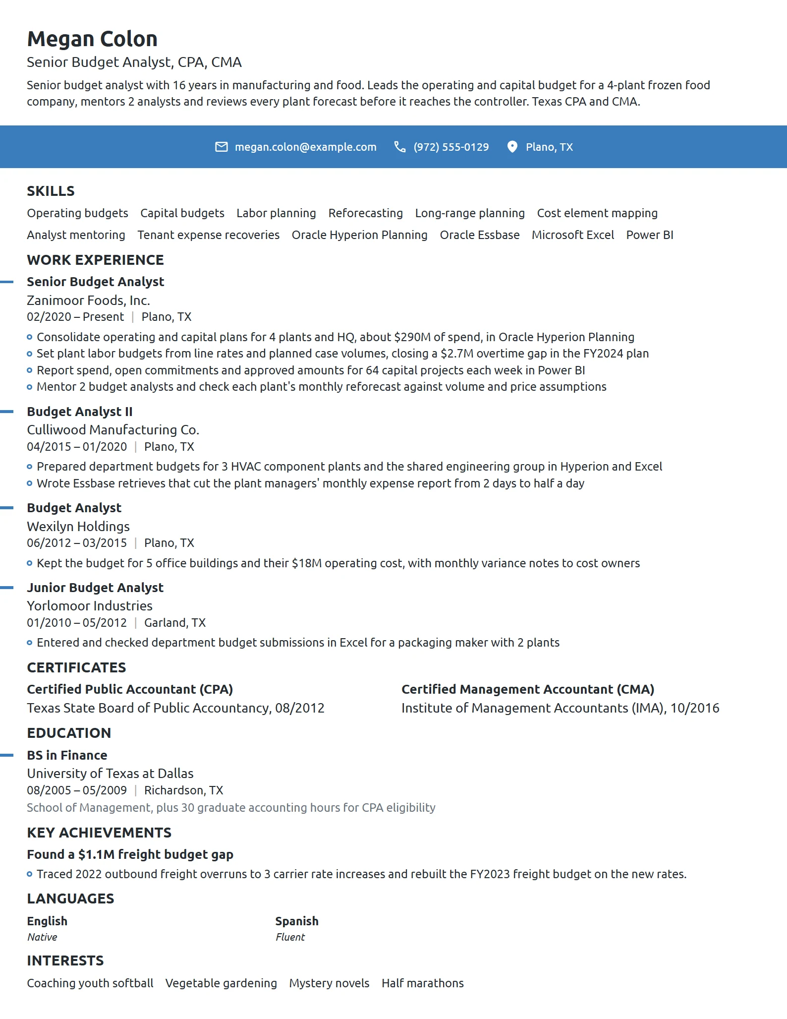 Senior Budget Analyst resume example