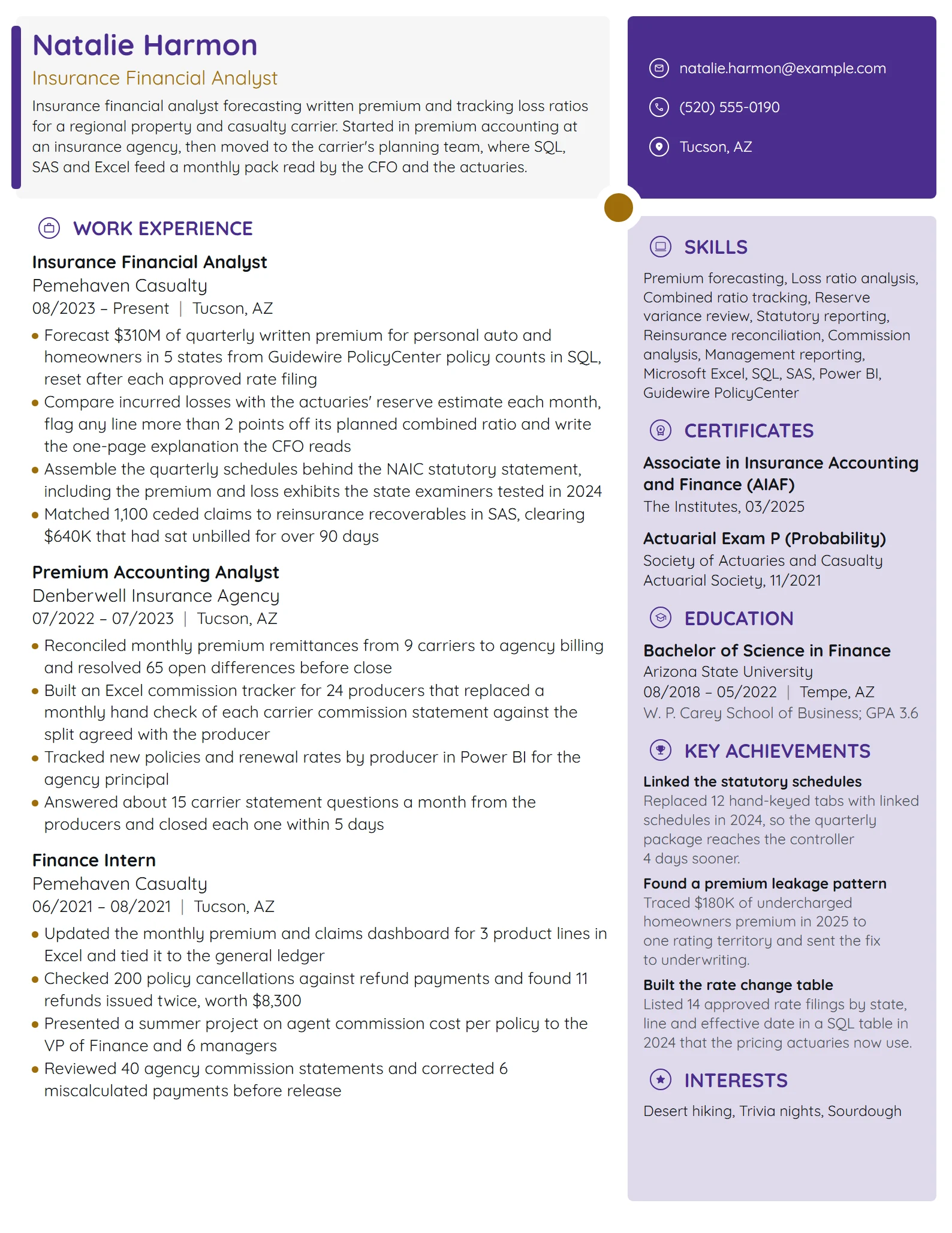 Insurance Financial Analyst resume example