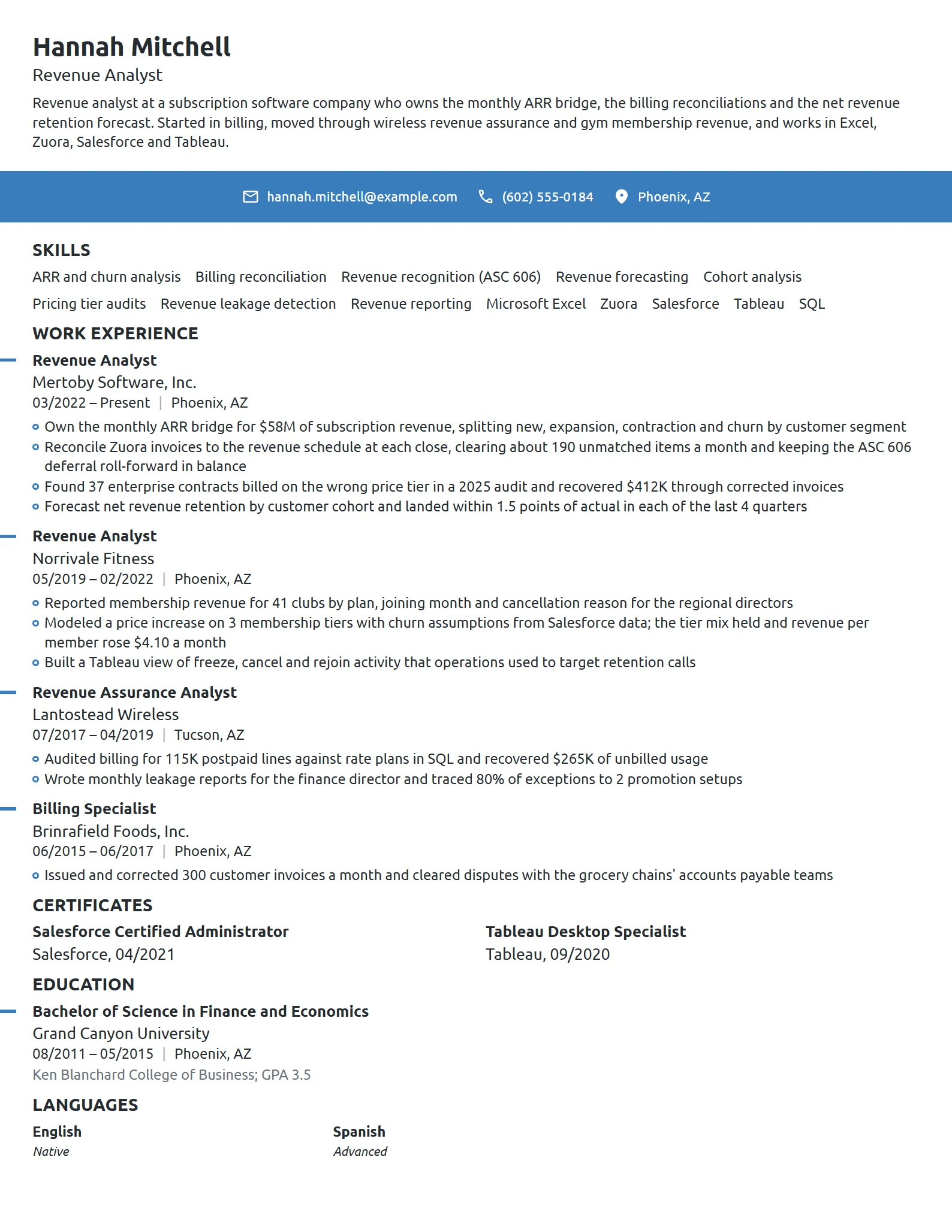 Revenue Analyst resume example