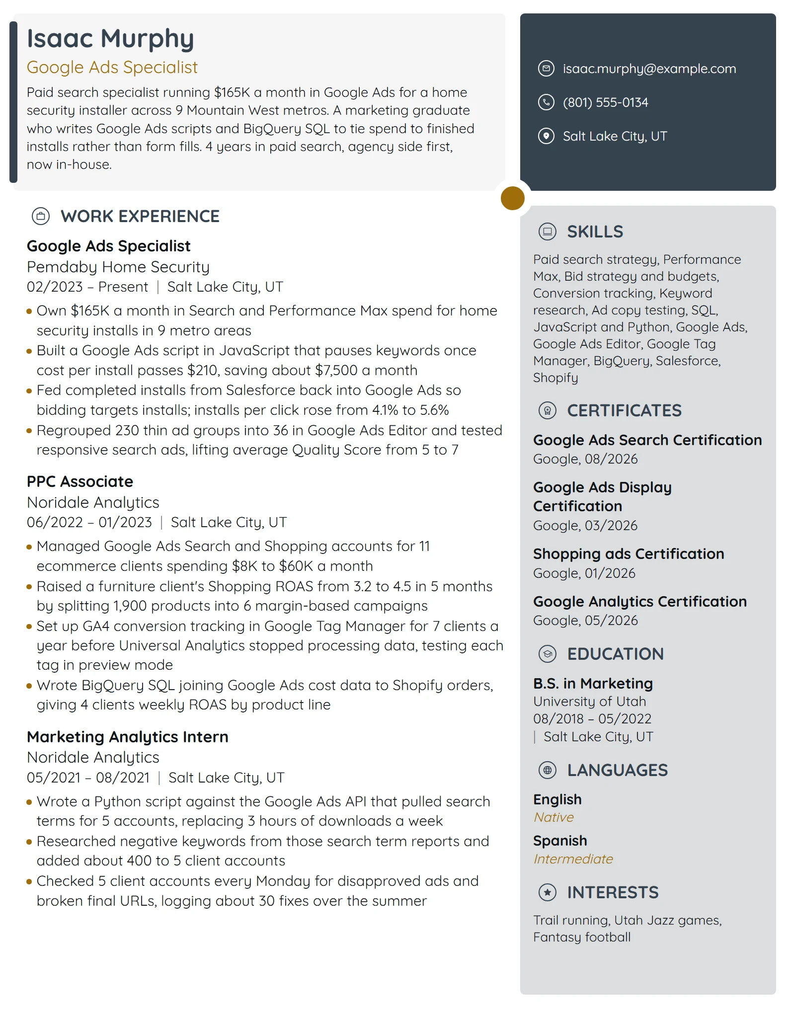 Google Ads Specialist resume example