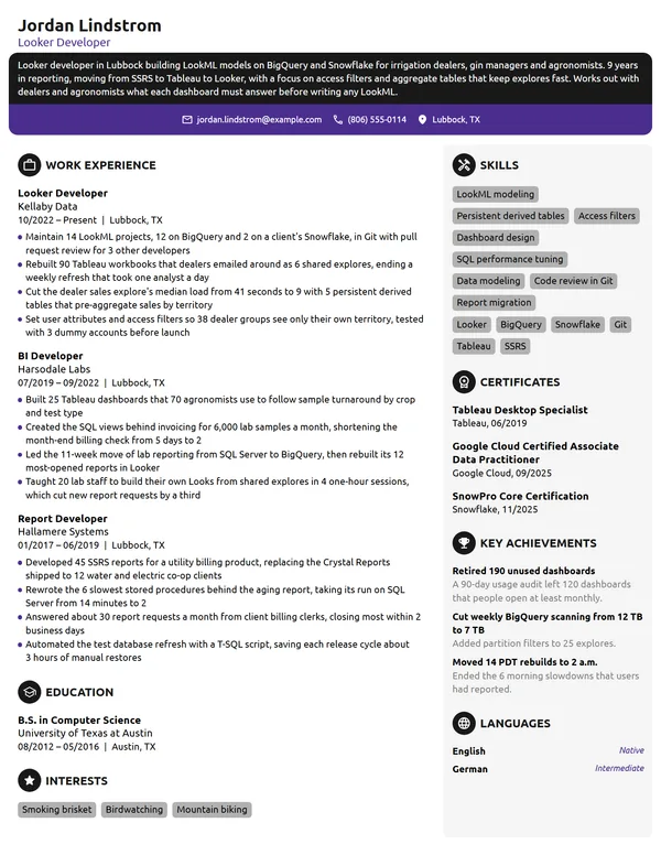 Looker Developer resume example