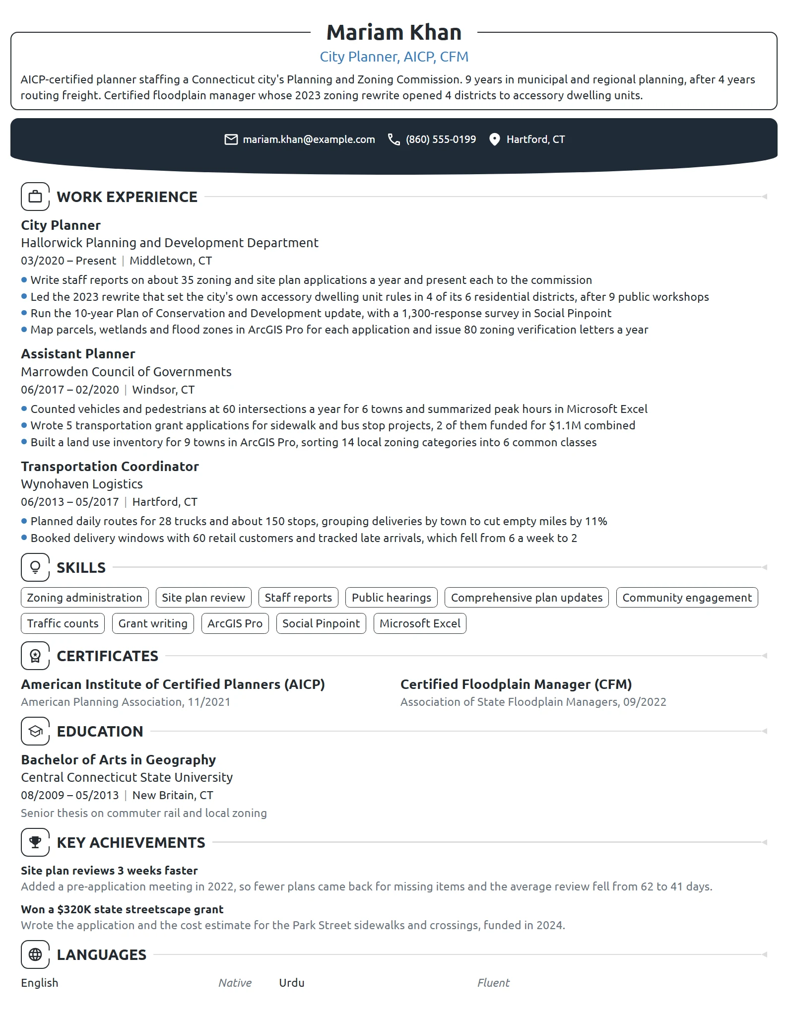 City Planner resume example