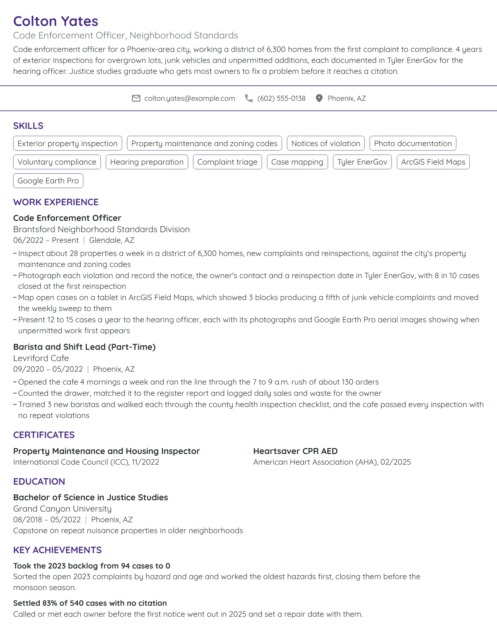 Code Enforcement Officer resume example