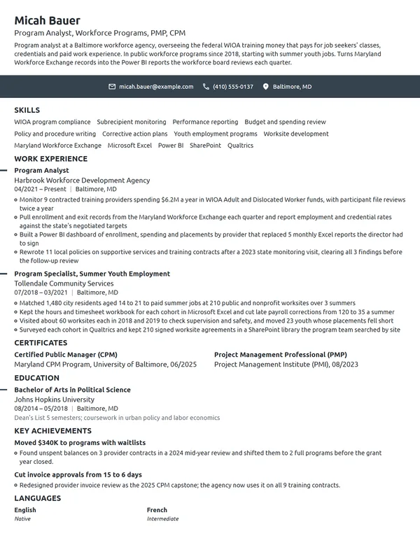 Government resume example