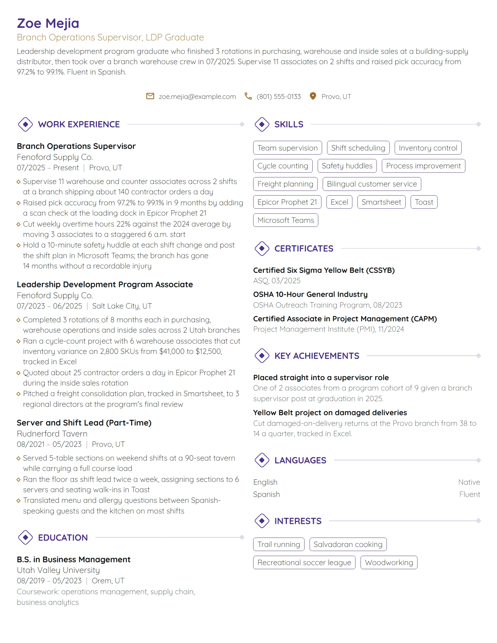 Leadership Development Program Graduate resume example