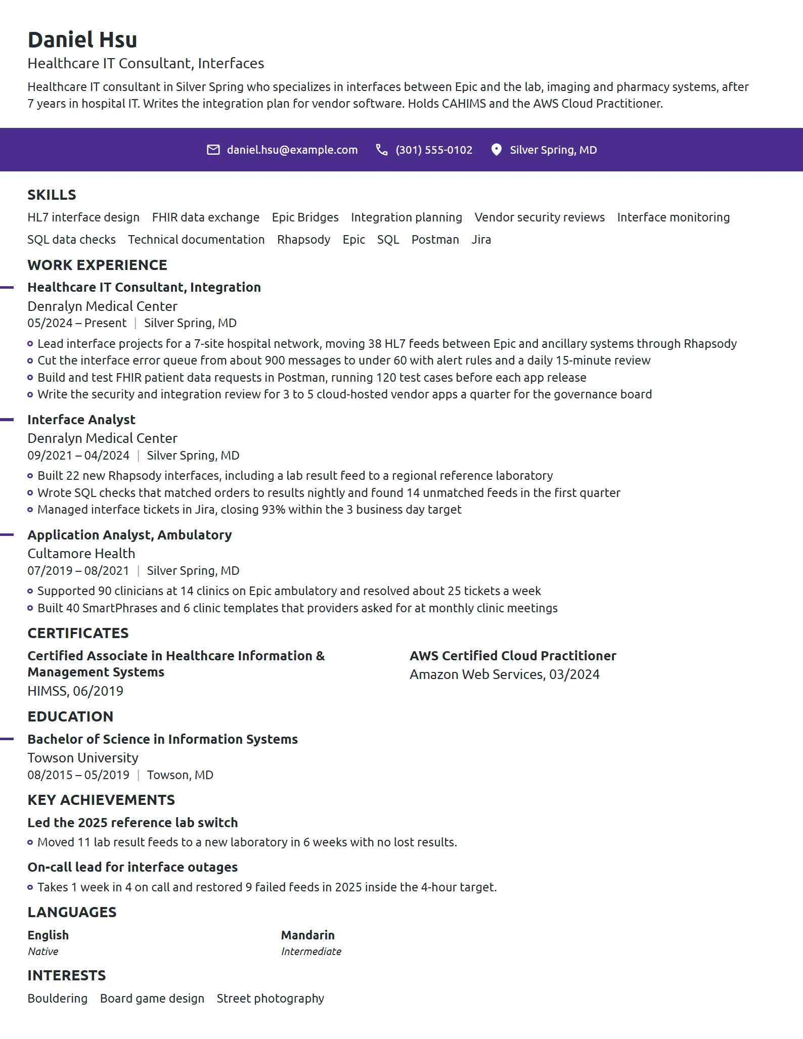 Healthcare IT Consultant resume example