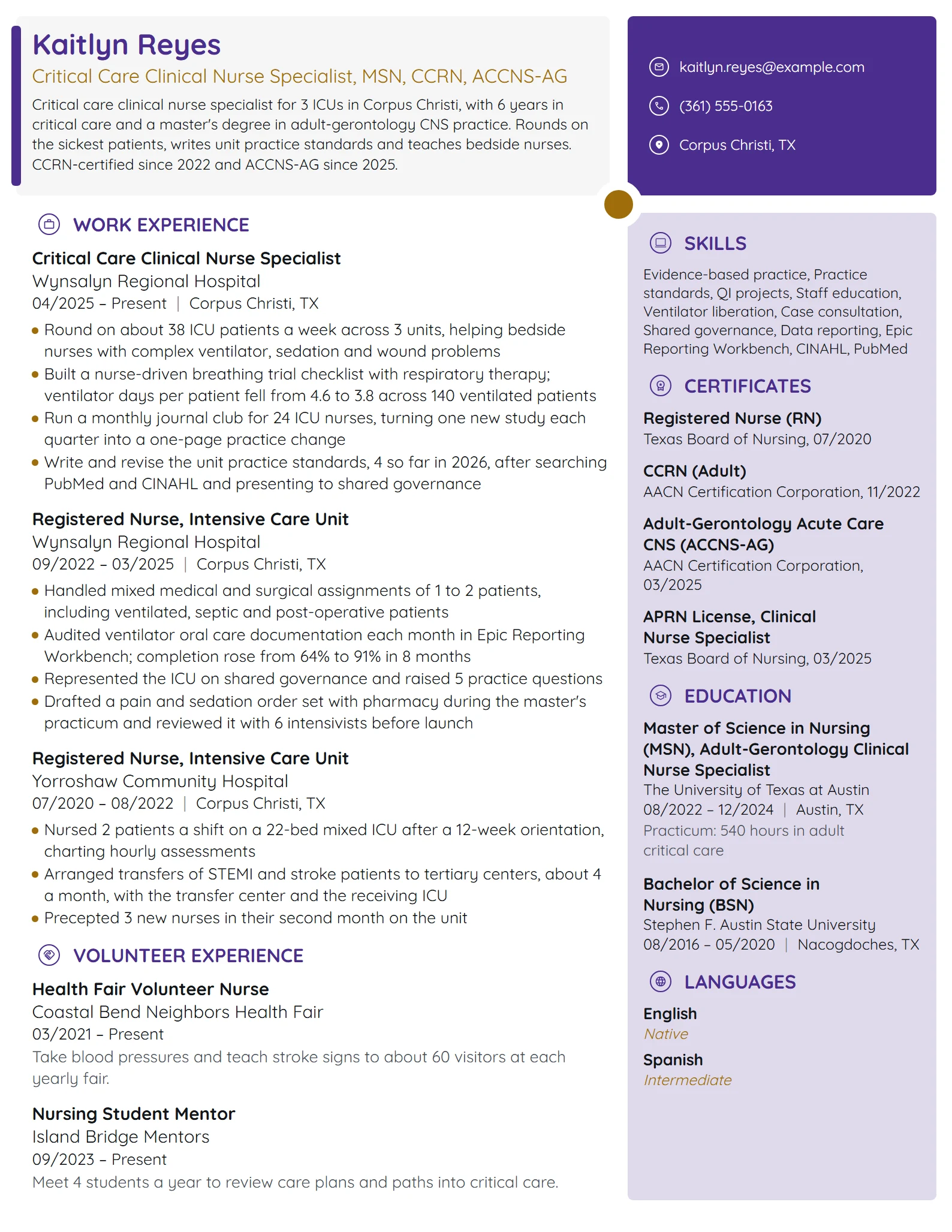 Critical Care Clinical Nurse Specialist resume example