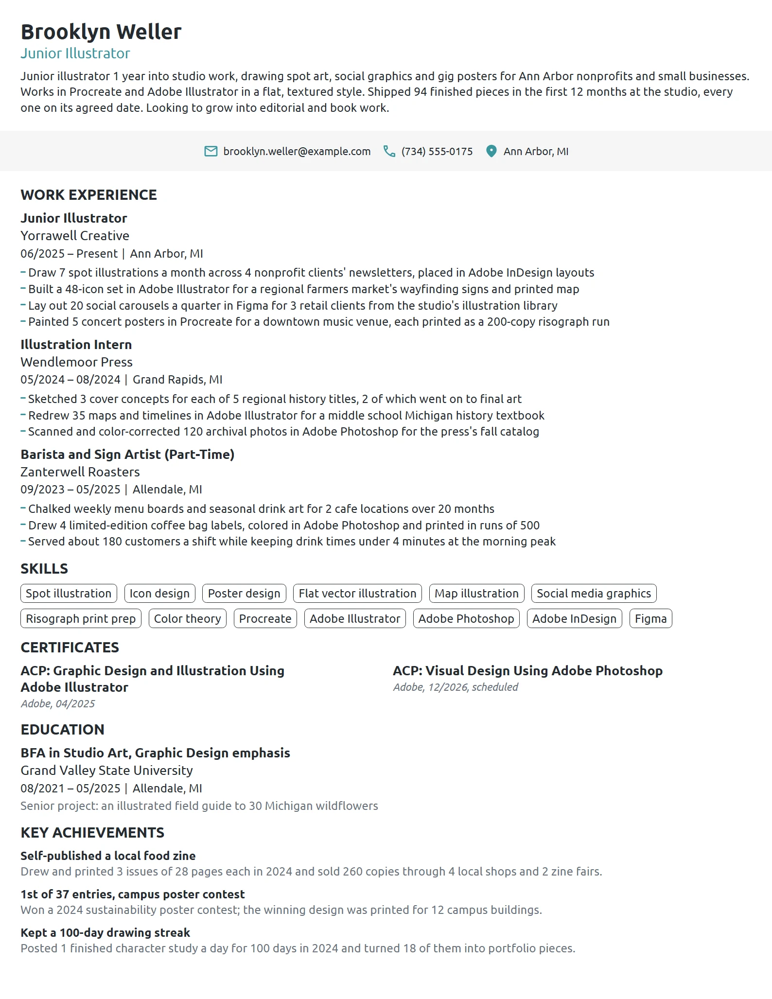 Entry-Level Illustrator resume example