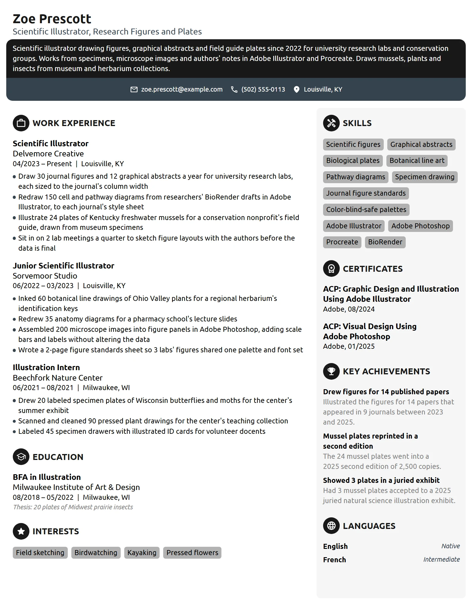 Scientific Illustrator resume example