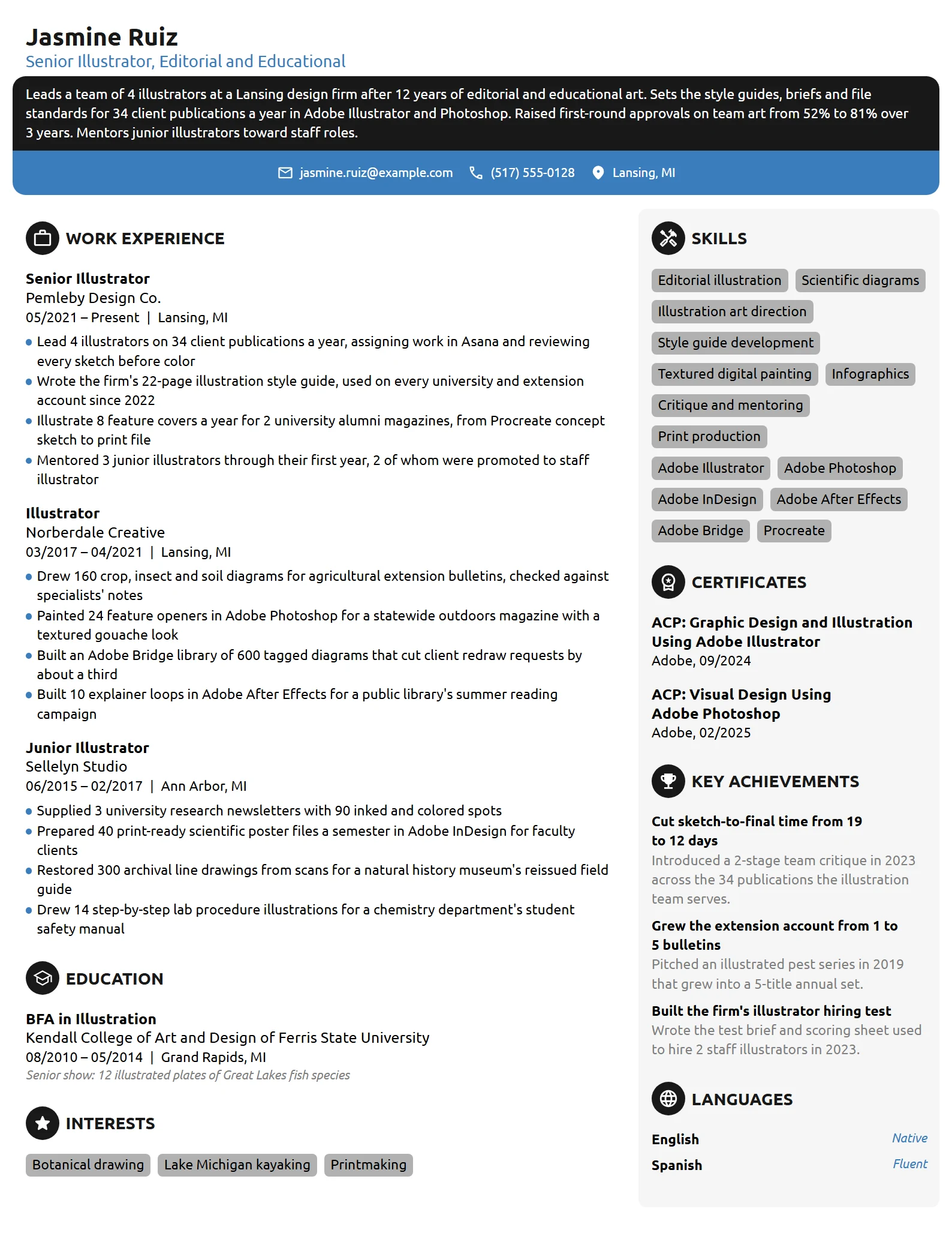 Senior Illustrator resume example