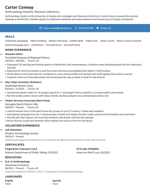Museum Intern resume example