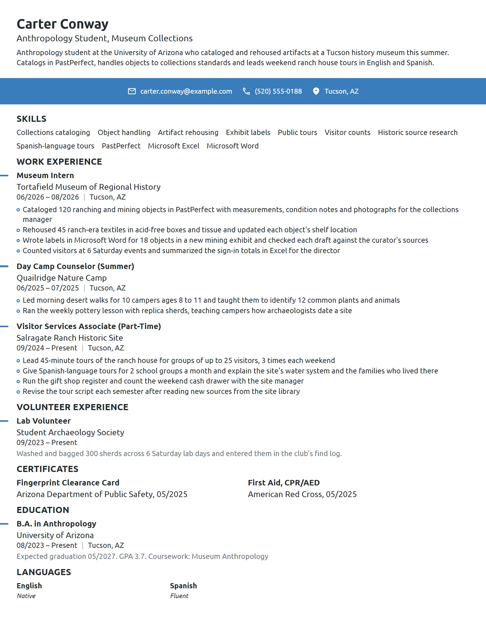 Museum Intern resume example
