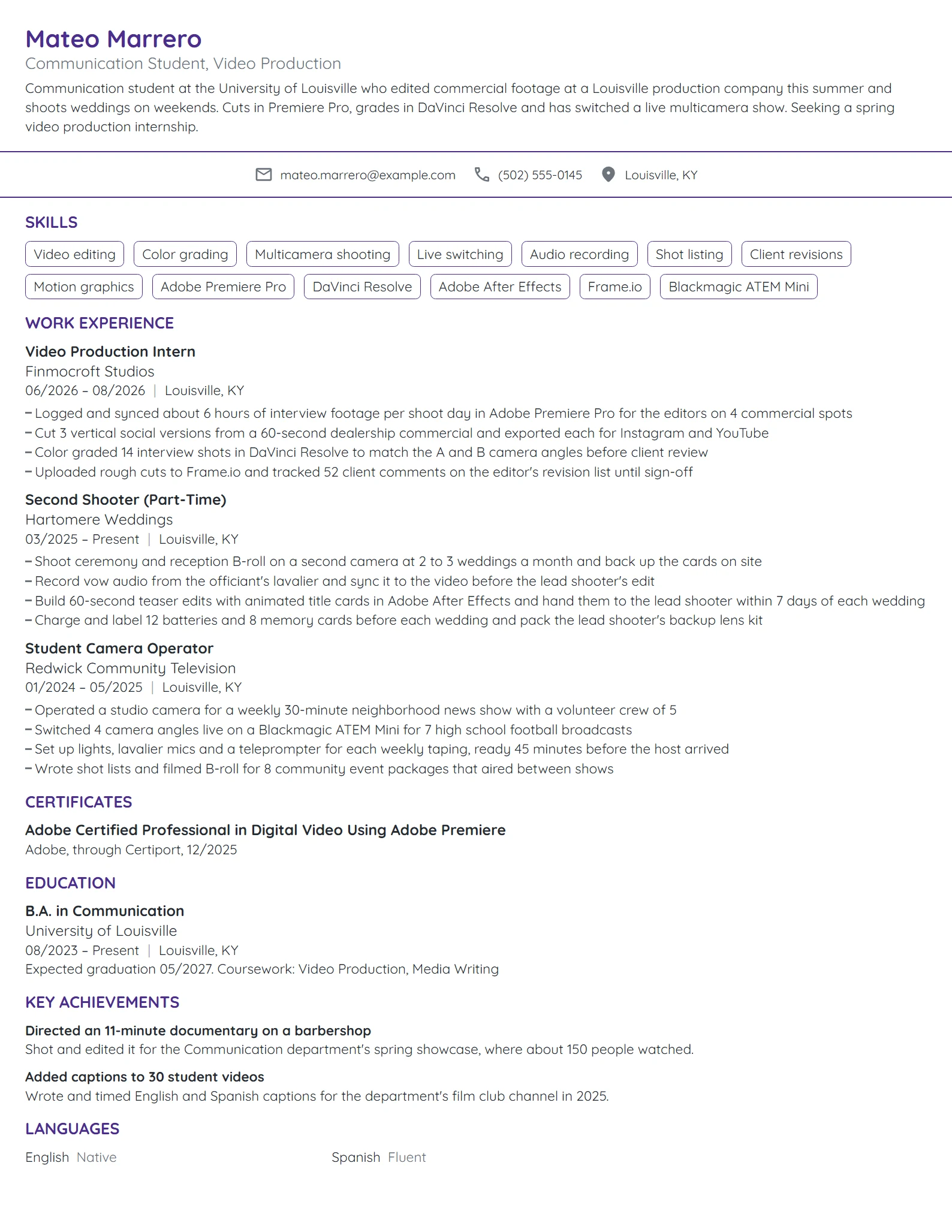 Video Production Intern resume example