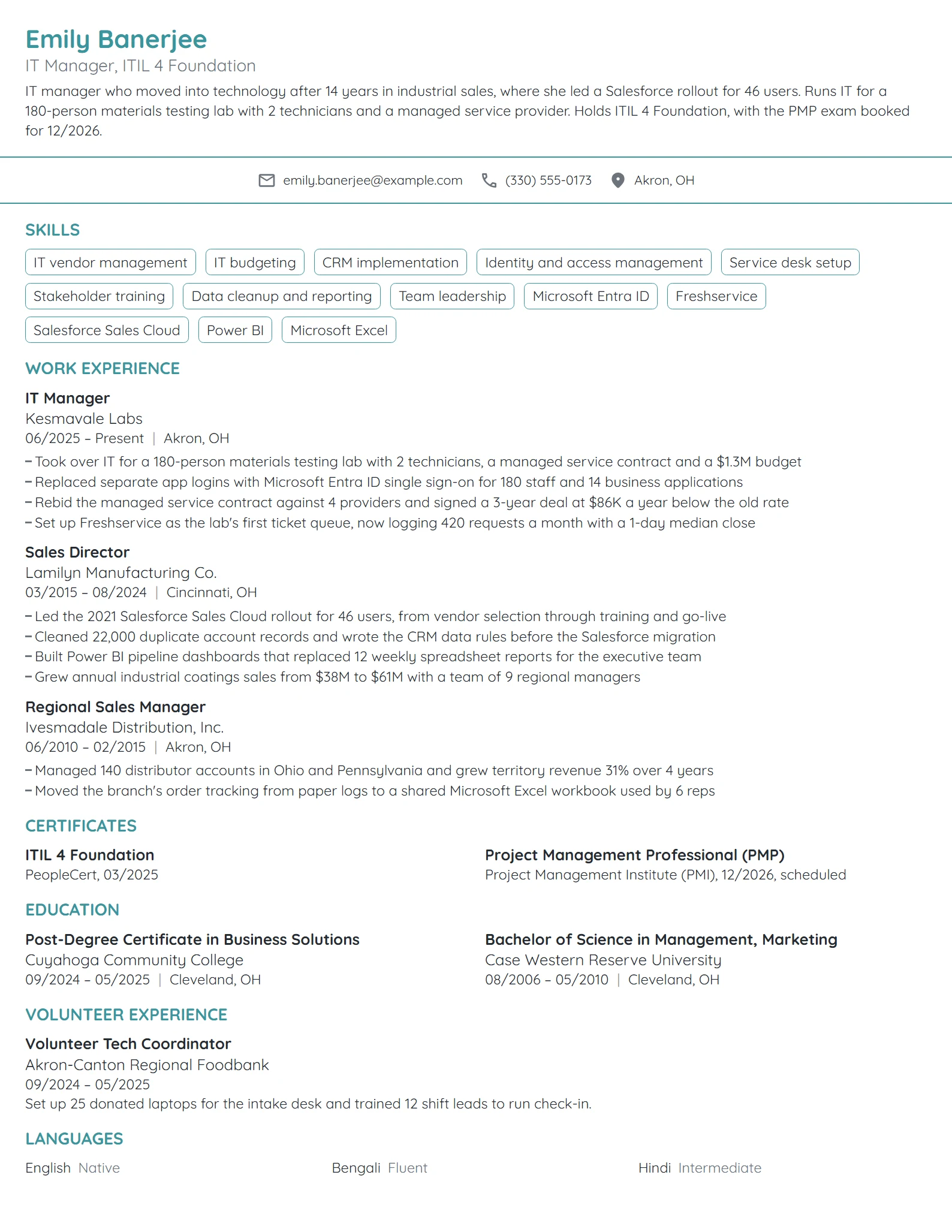 Career Change IT Manager resume example