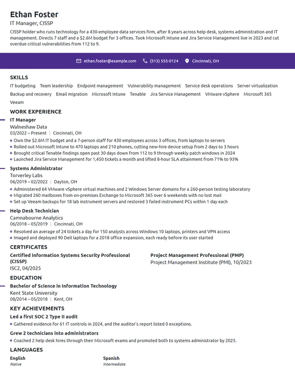 IT Manager resume example