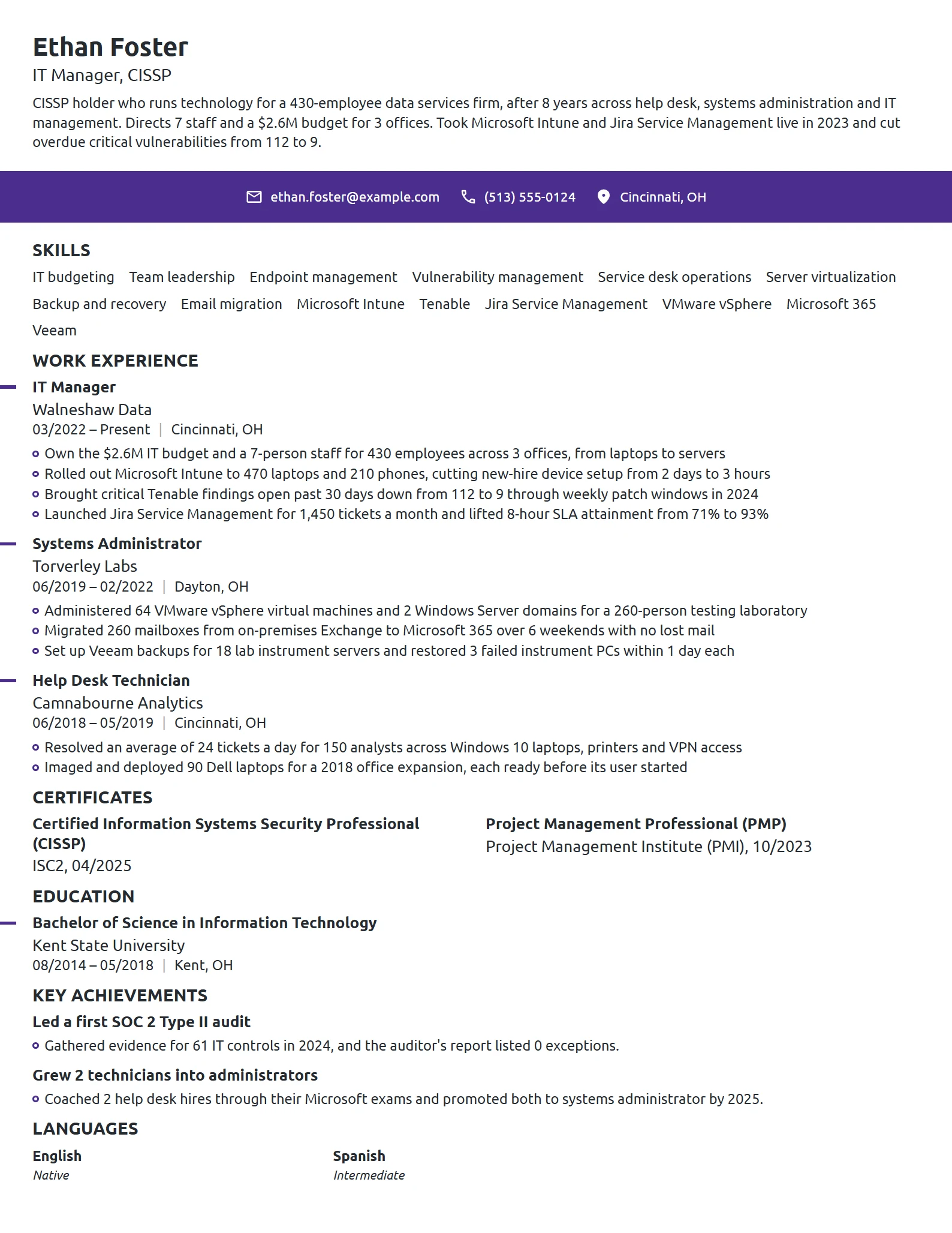 IT Manager resume example