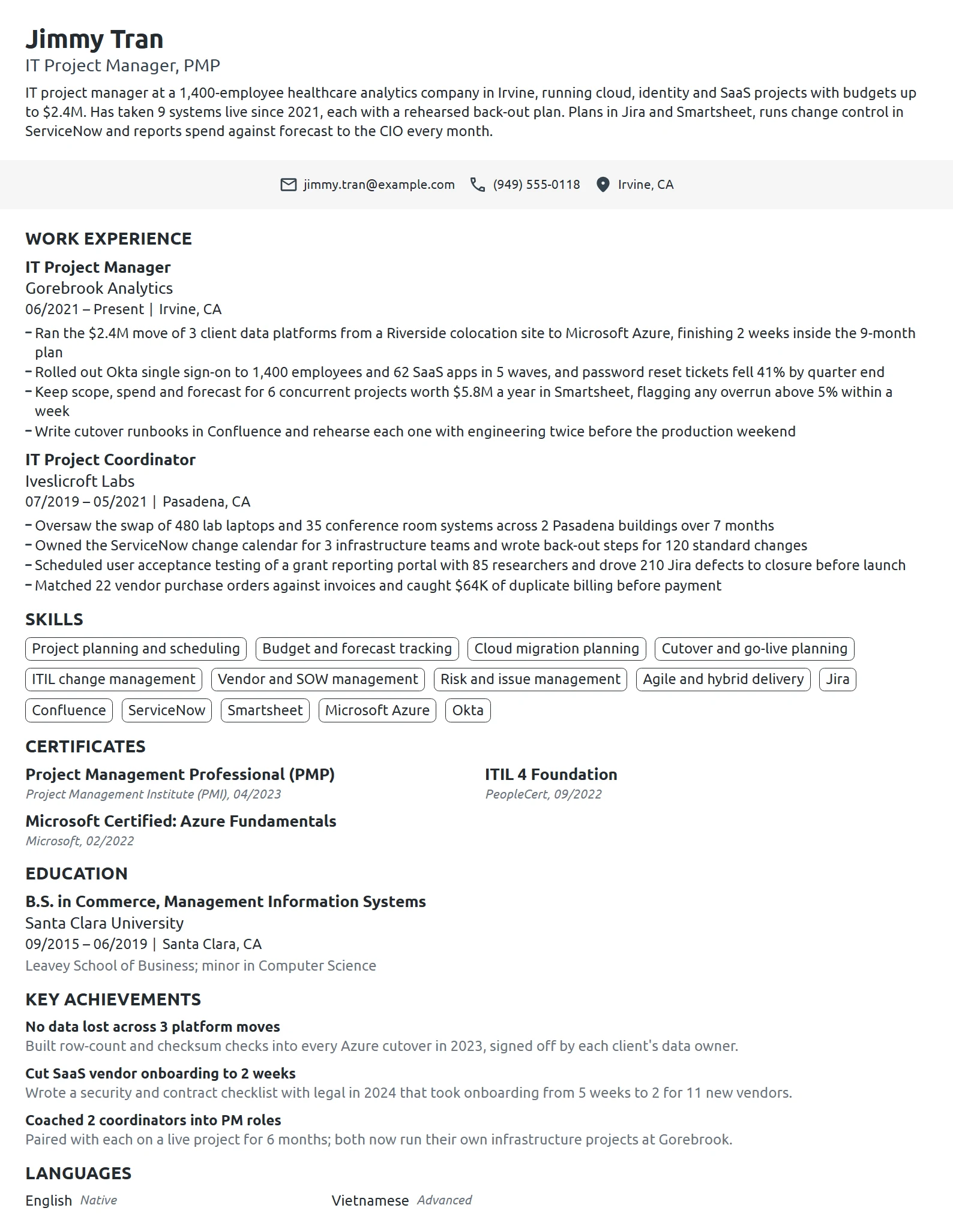 IT Project Manager resume example