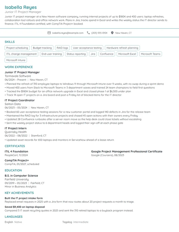 Junior IT Project Manager resume example