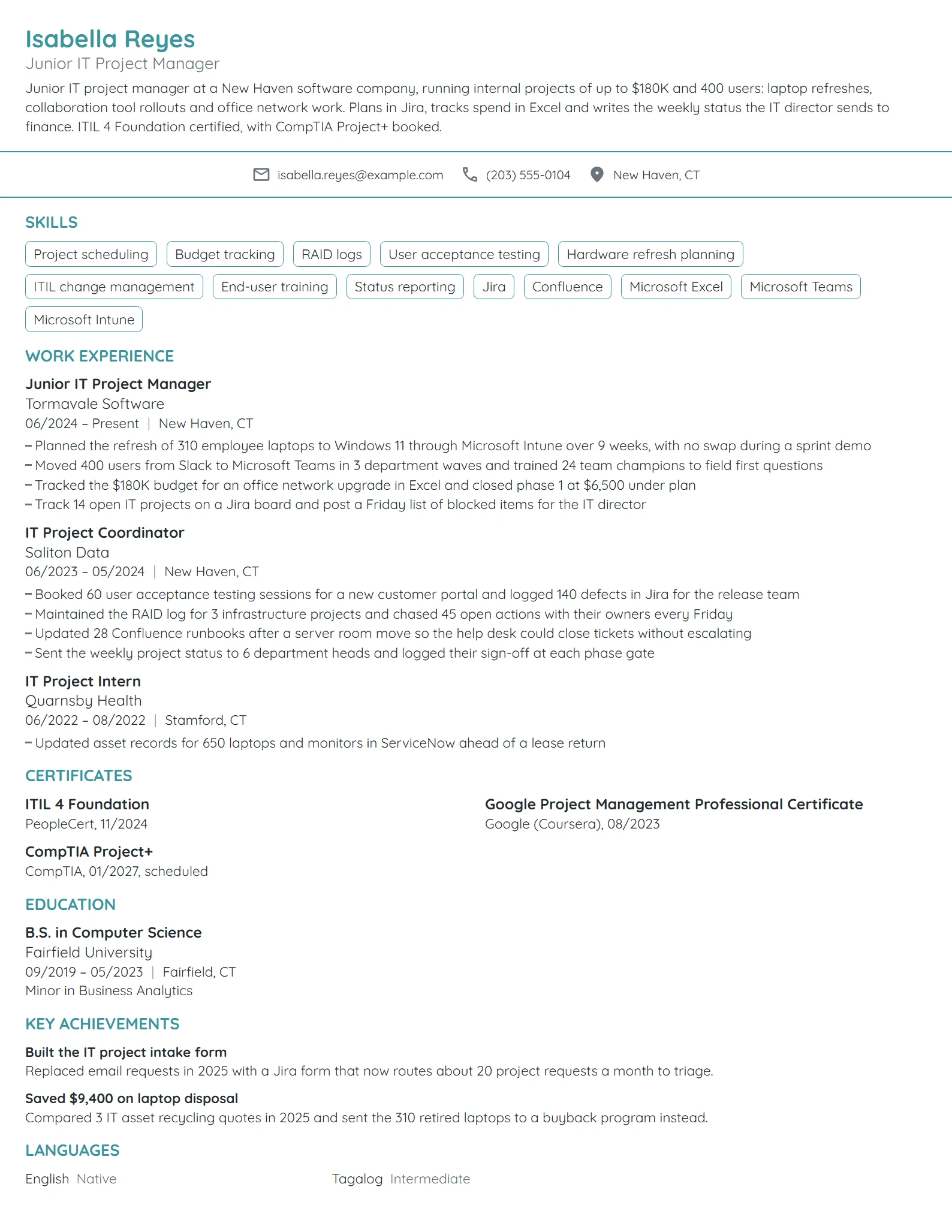 Junior IT Project Manager resume example