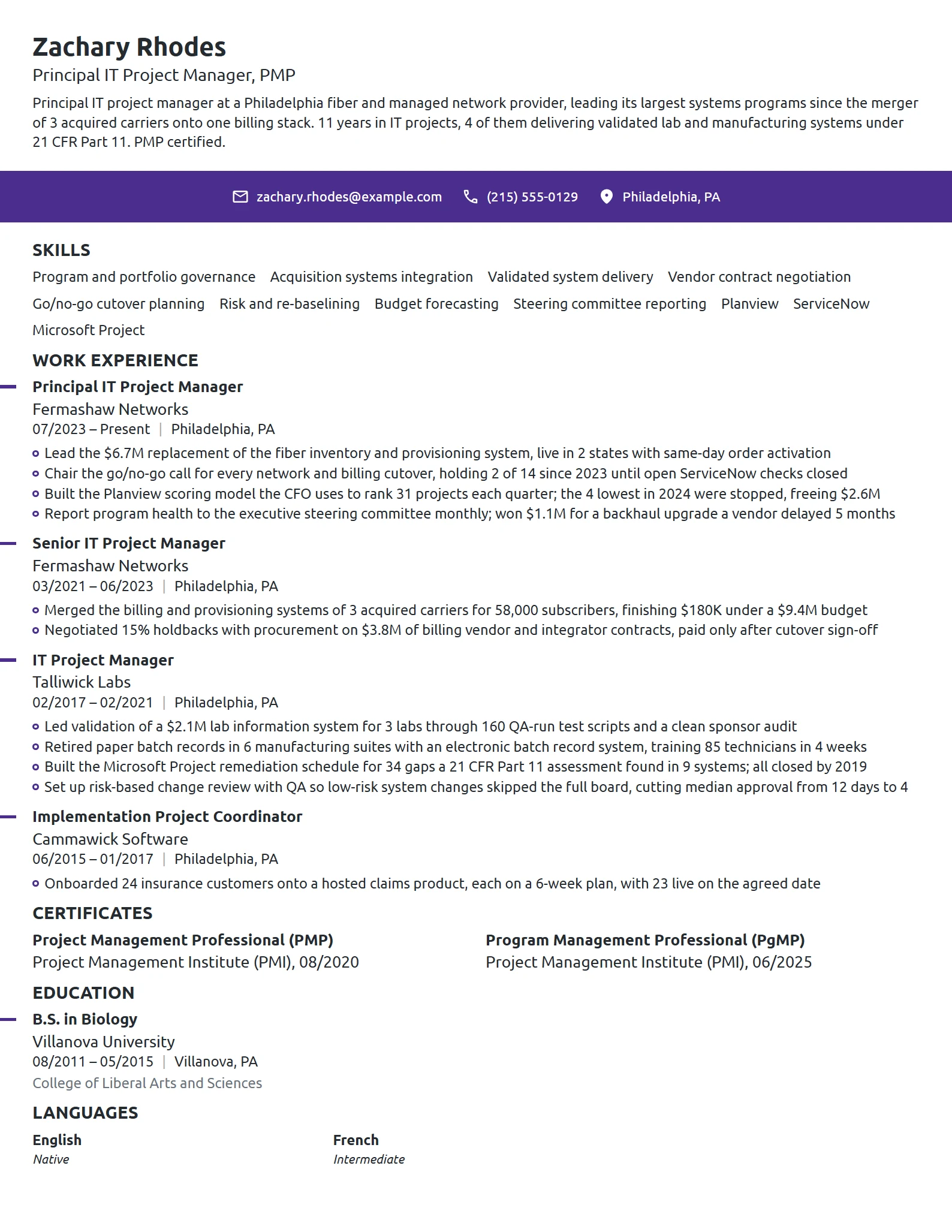 Principal IT Project Manager resume example