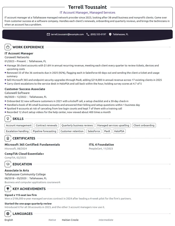 IT Account Manager resume example
