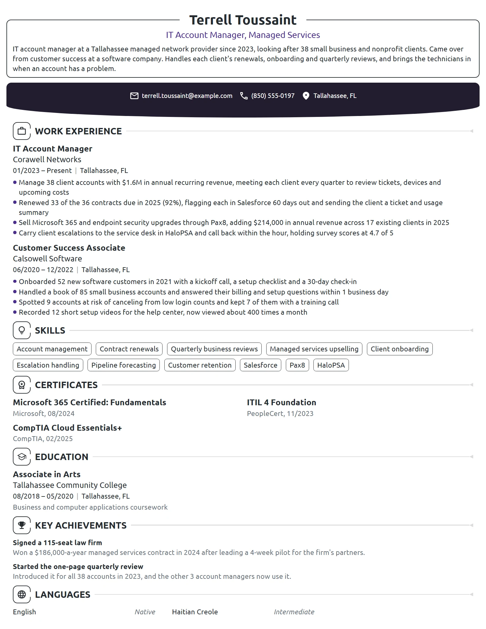 IT Account Manager resume example