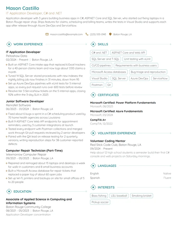 IT Application Developer resume example