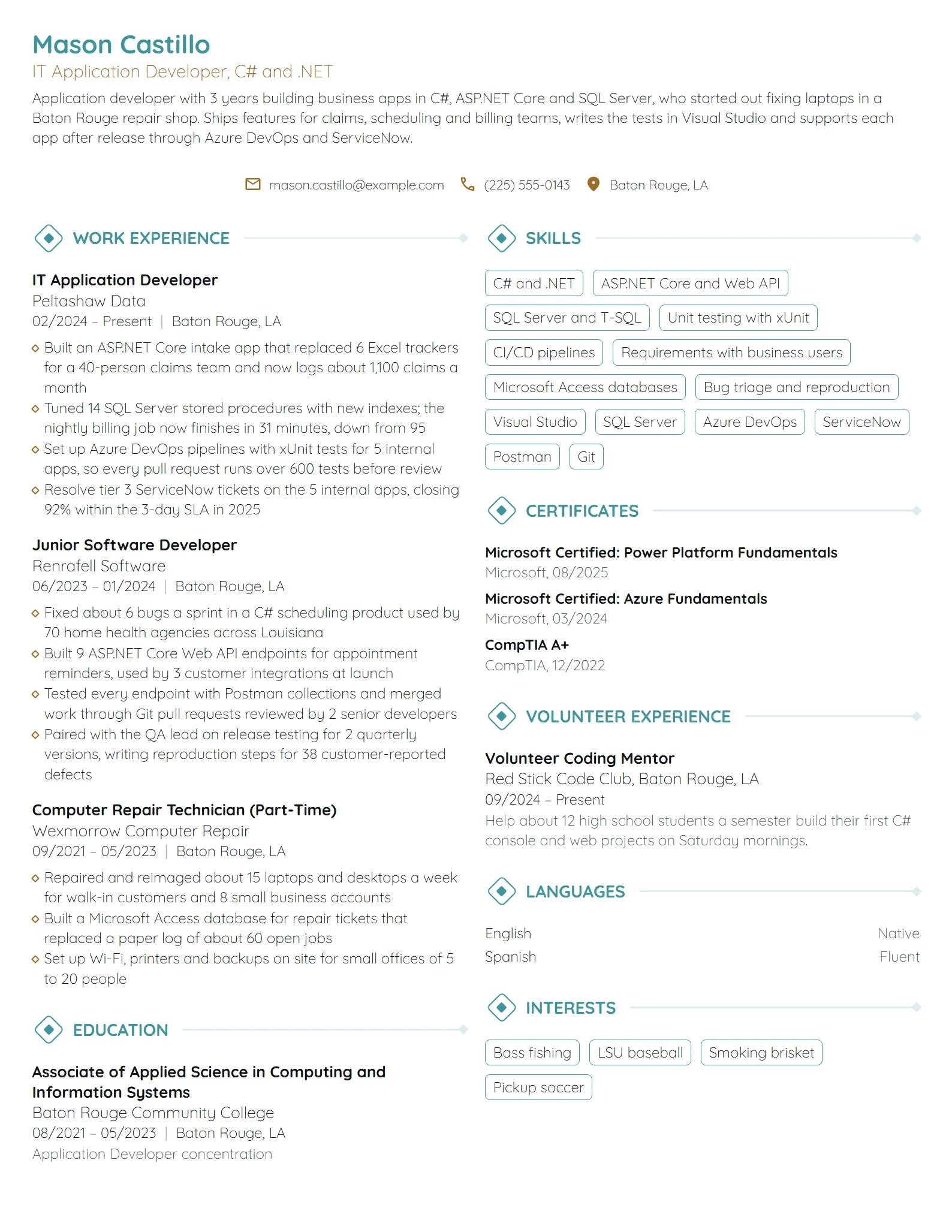 IT Application Developer resume example
