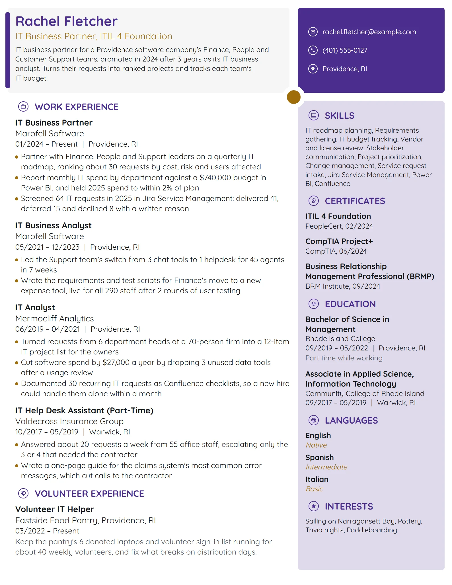 IT Business Partner resume example
