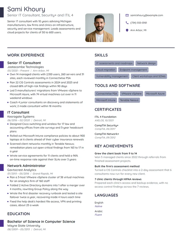 Senior IT Consultant resume example