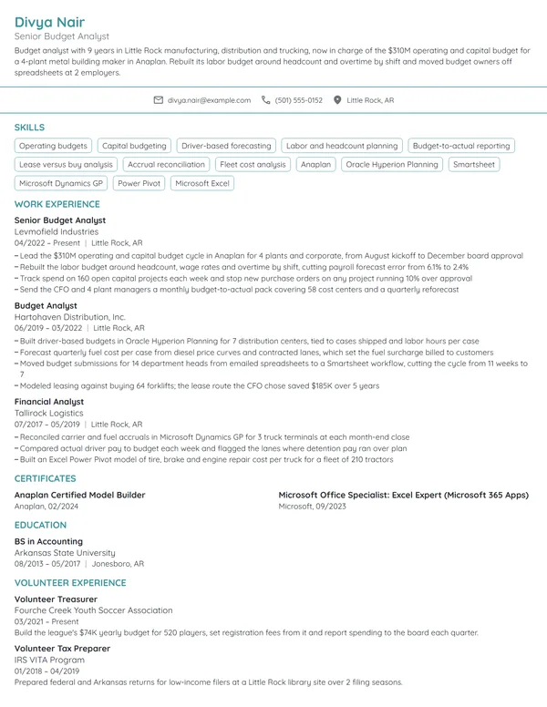 Budget Analyst resume example