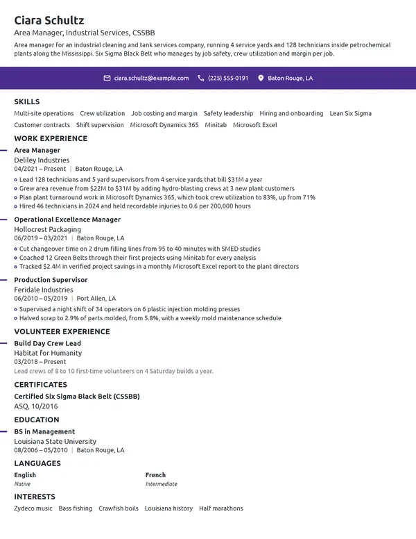 Area Manager resume example