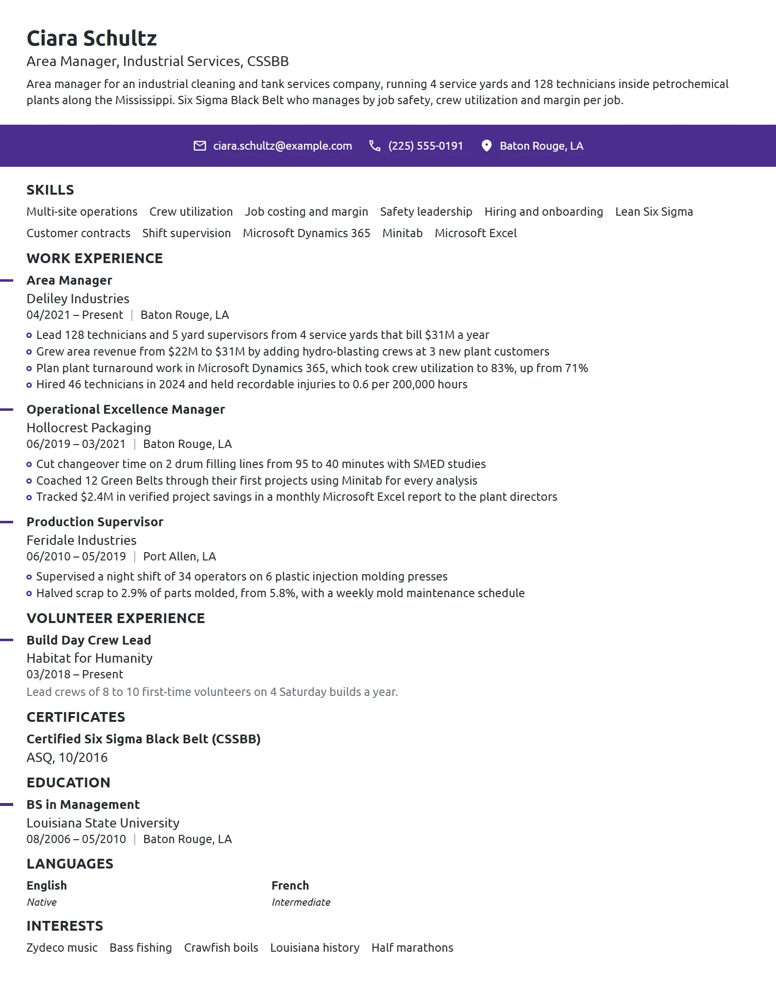 Area Manager resume example