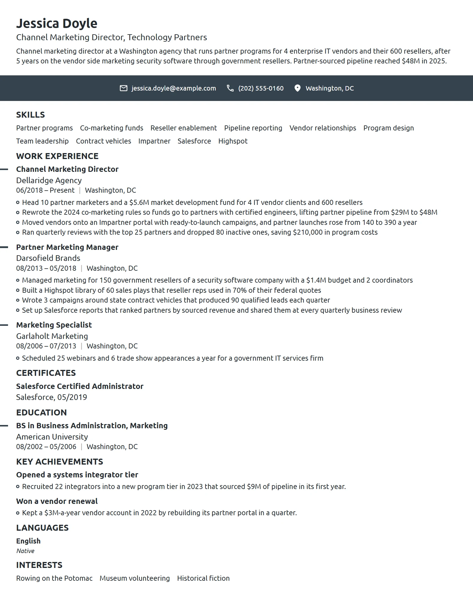 Channel Marketing Director resume example