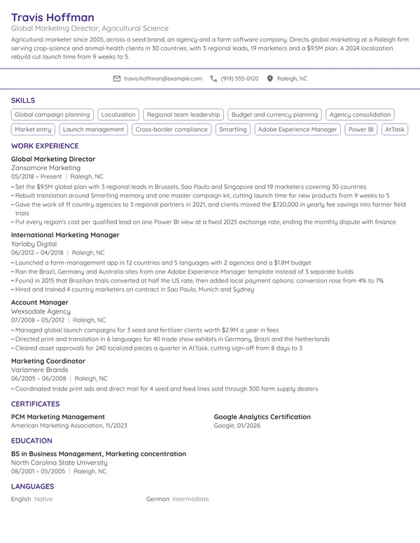 Global Marketing Director resume example